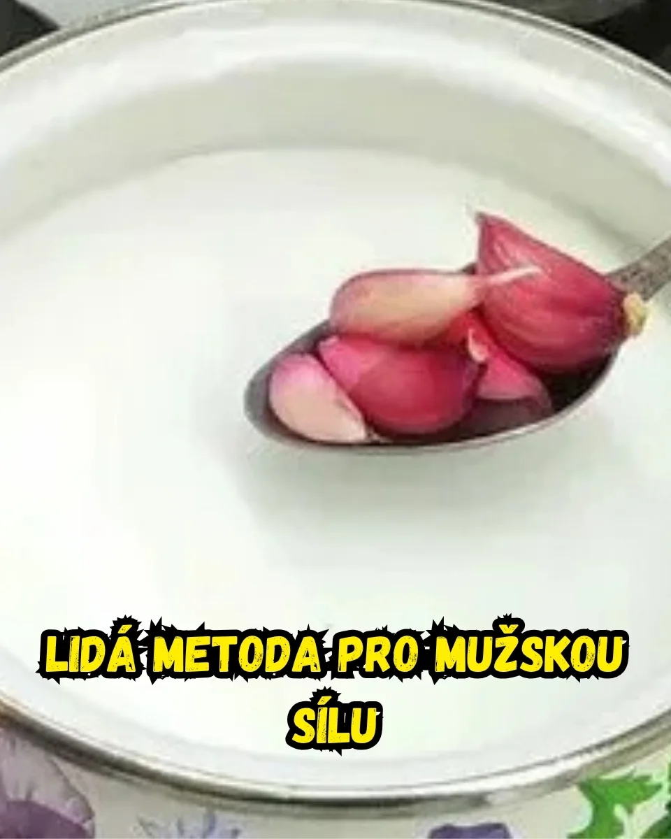 Pečlivá příprava zdravé stravy