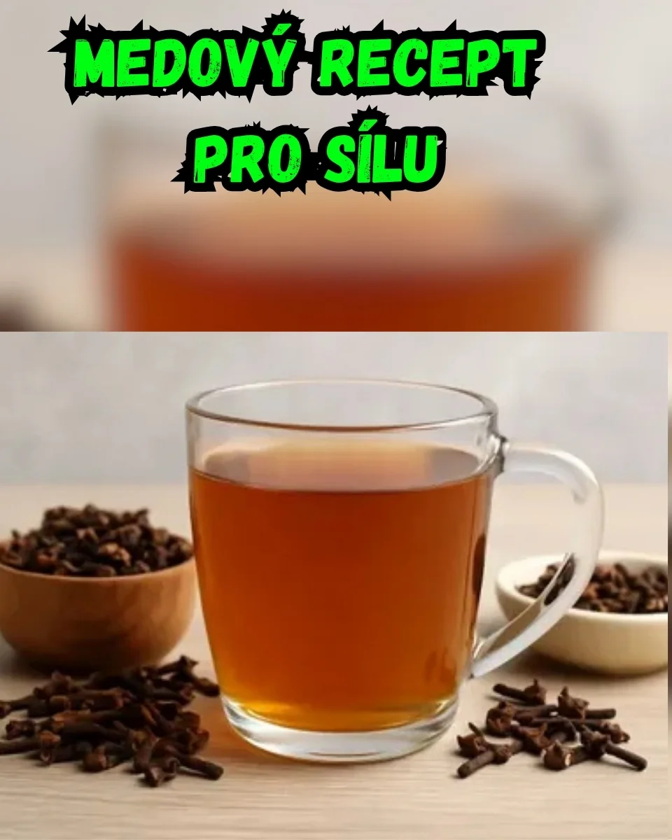 Zdravá výživa a stravování